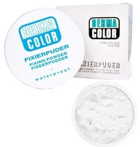 Camouflage Fixing Powder