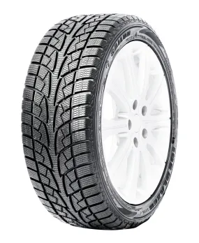 Ice Blazer WSL2 - 195/50R15 82H