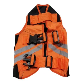 LCS Bird Dog Armor Vest 2