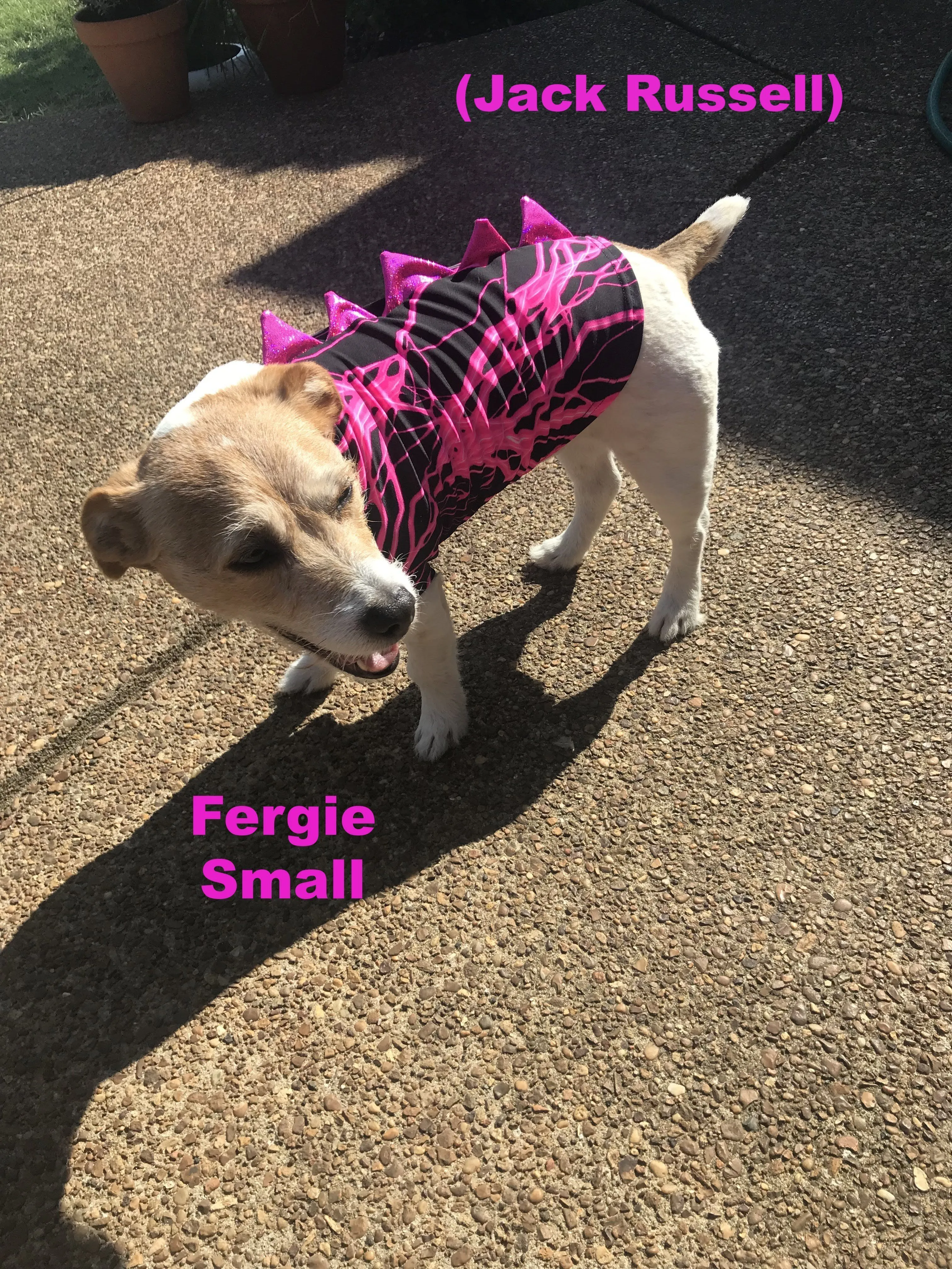 Lilac Dragon Spiked Pet Shirt