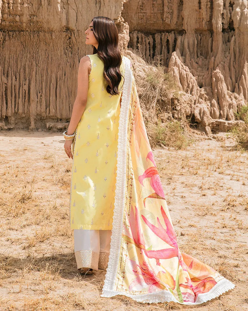 Maria Osama Khan · Pariwash Lawn Collection – Haya (US-005)