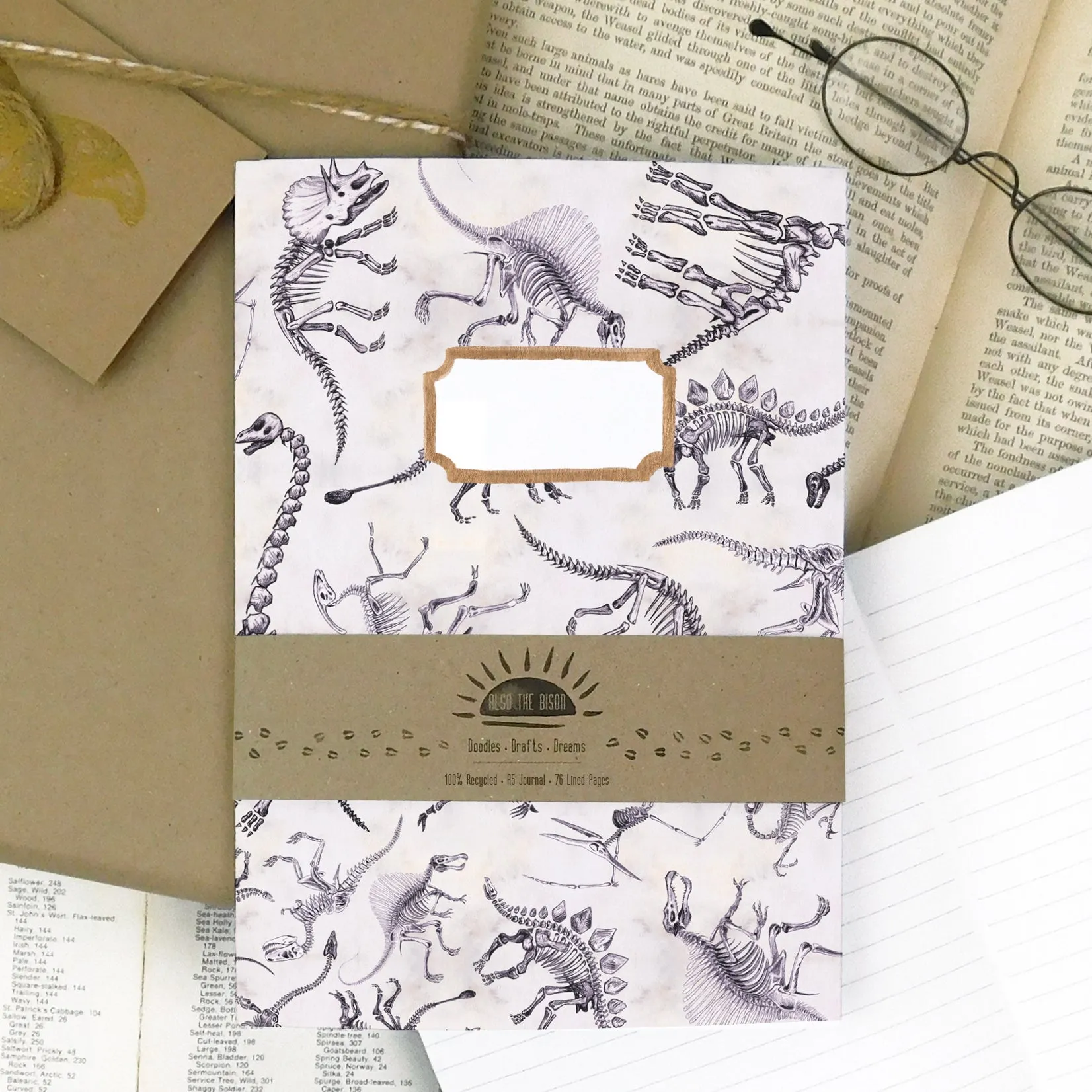 Mesozoic Dinosaur Print Journal and Notebook Set