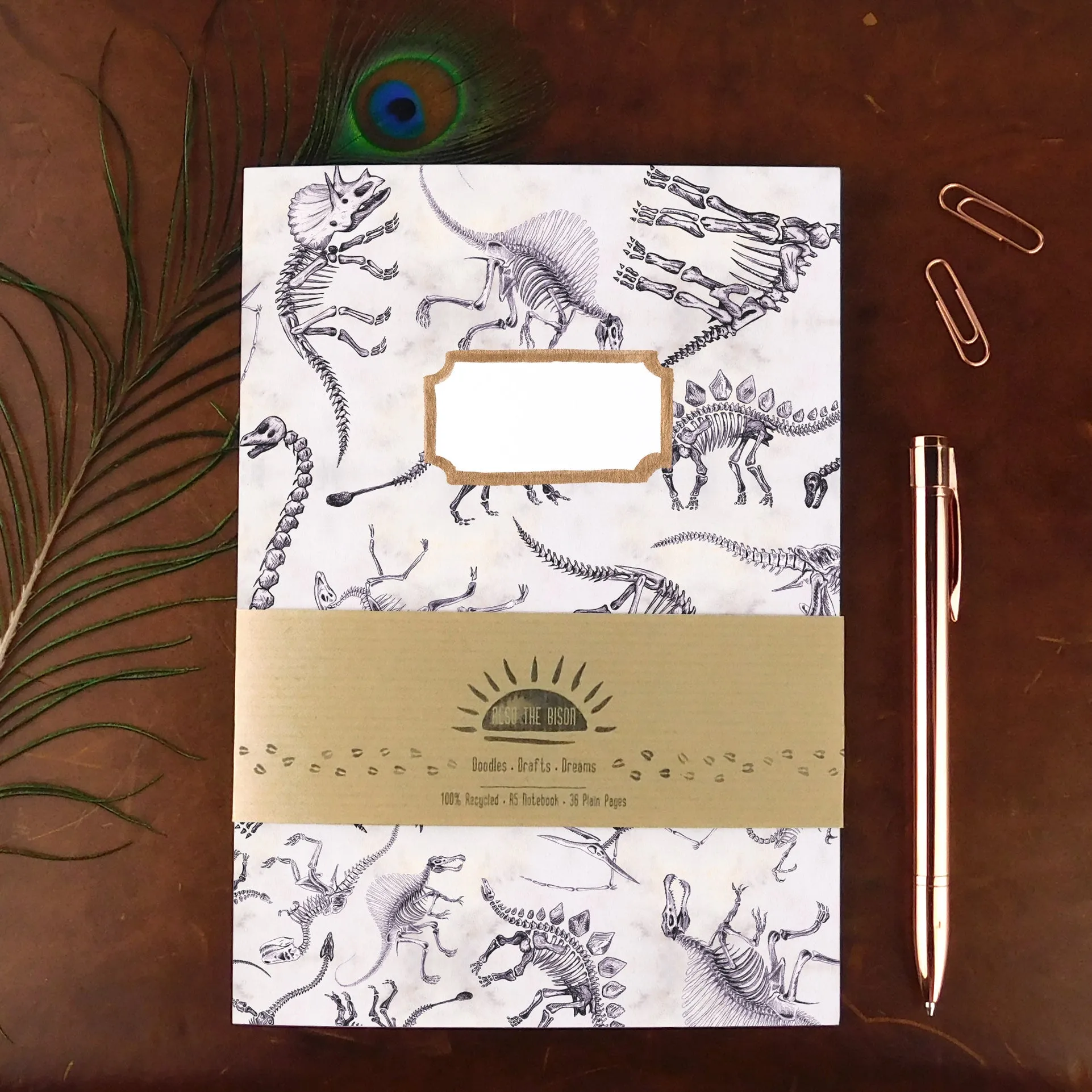 Mesozoic Dinosaur Print Journal and Notebook Set