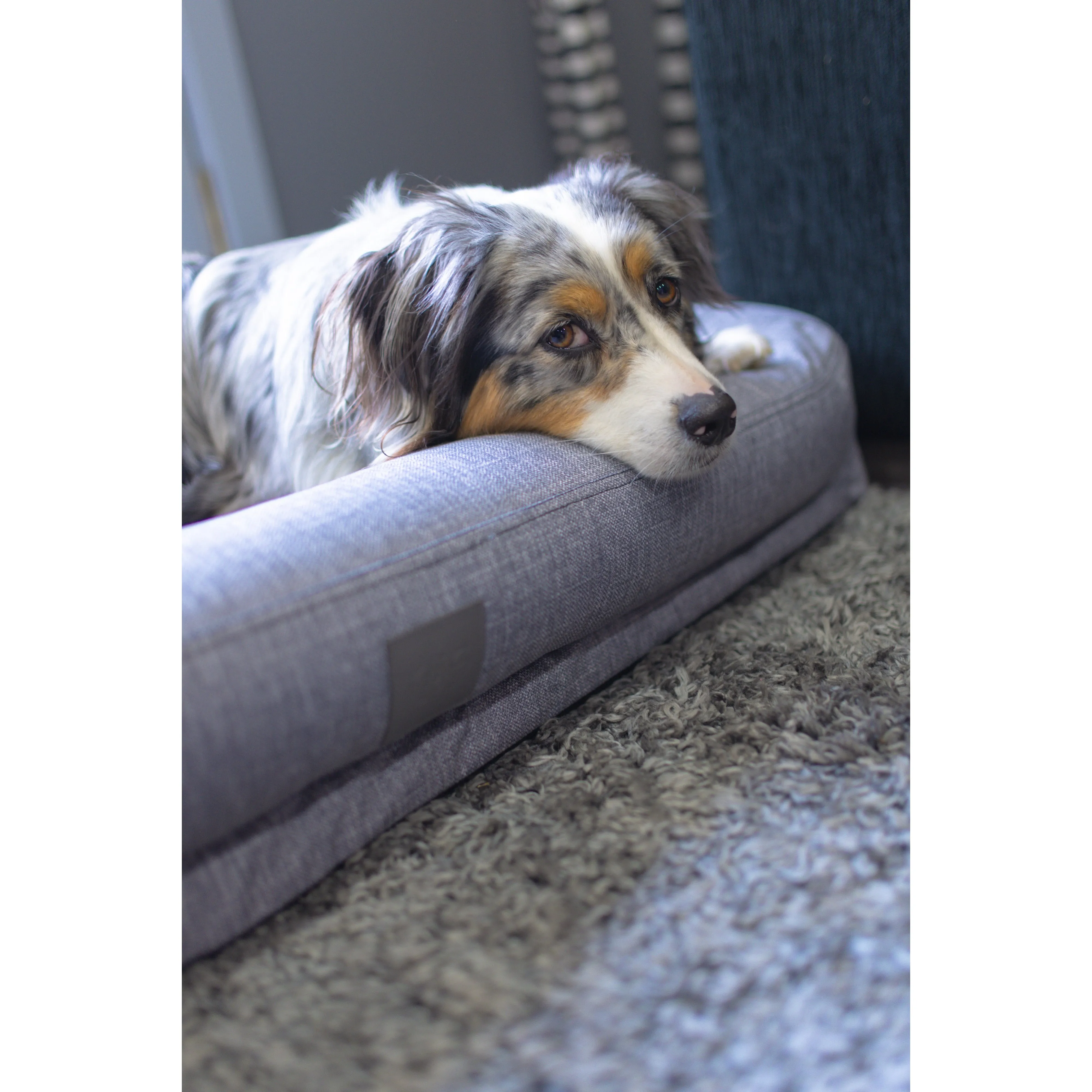 T&S Bolster Lounge Dog Bed Steel Grey Small